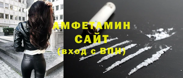 гидра Богородицк