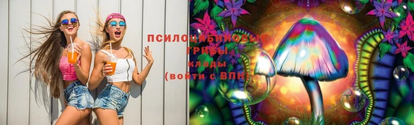 а пвп мука Богданович