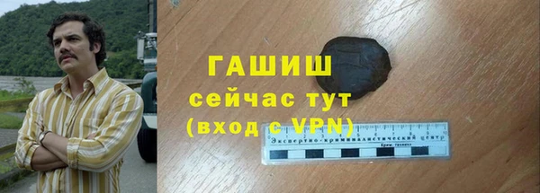гидра Богородицк