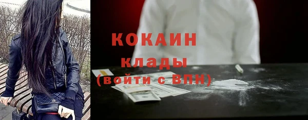 ECSTASY Богородск