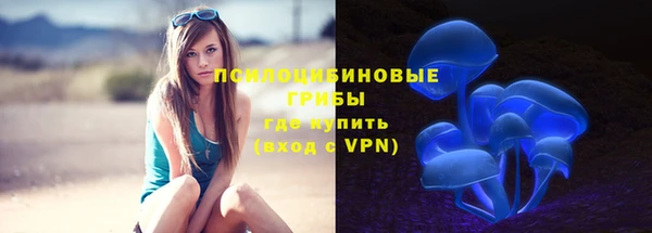 гидра Богородицк