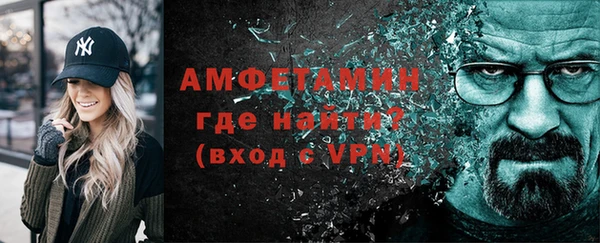 гидра Богородицк