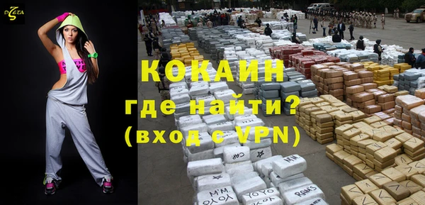 гидра Богородицк
