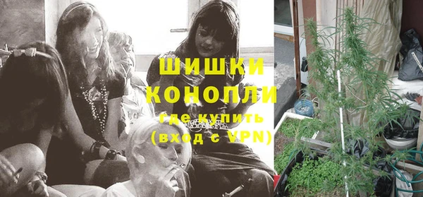 гашик Тайга
