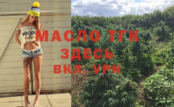 ECSTASY Богородск