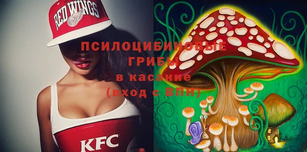 гидра Богородицк
