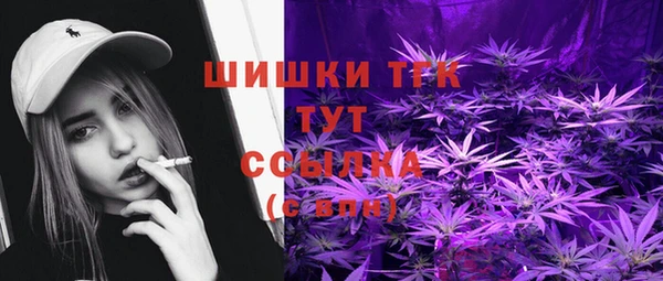хмурый Тавда