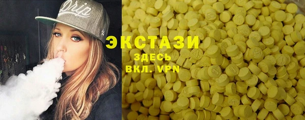ECSTASY Богородск