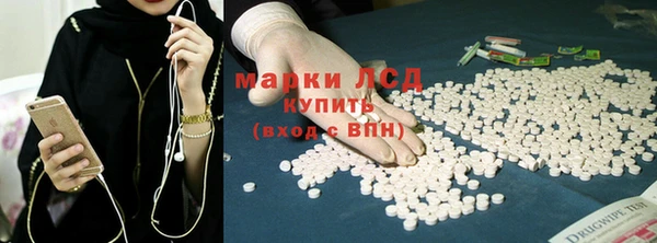 ECSTASY Богородск