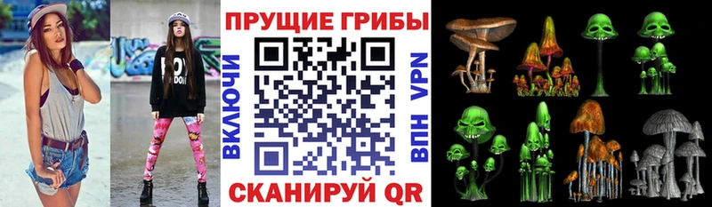 купить наркоту  Козельск  Псилоцибиновые грибы ЛСД 
